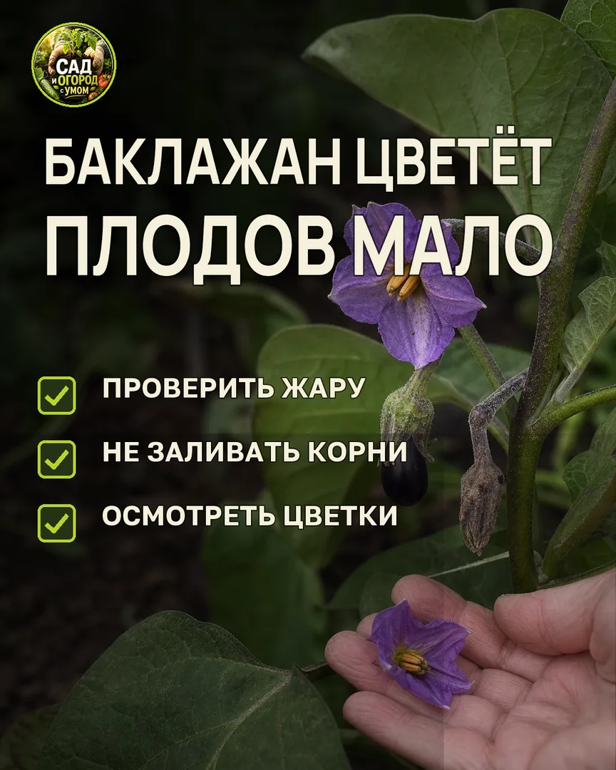 Краткая памятка к статье