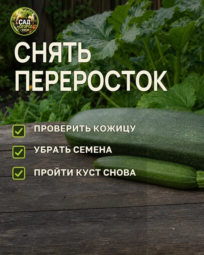 Краткая памятка к статье