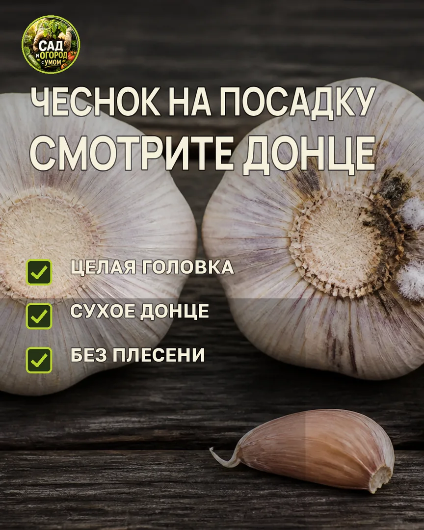 Краткая памятка к статье