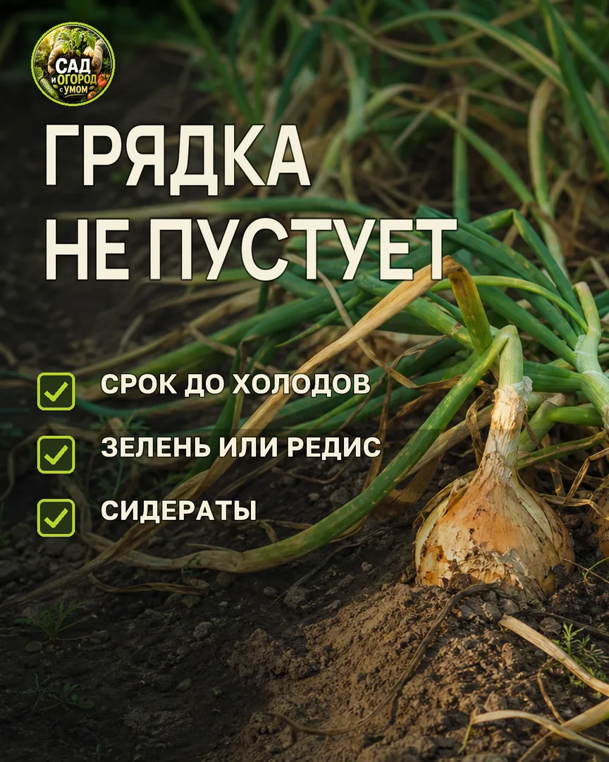 Краткая памятка к статье