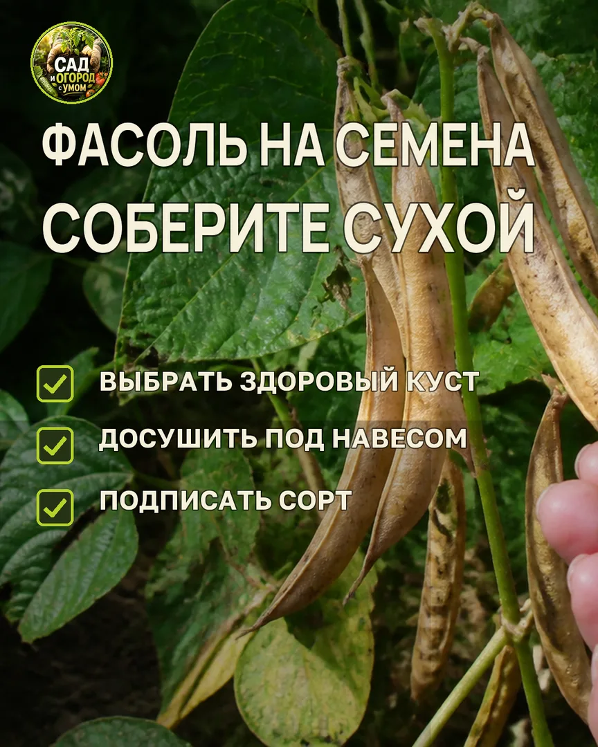Краткая памятка к статье
