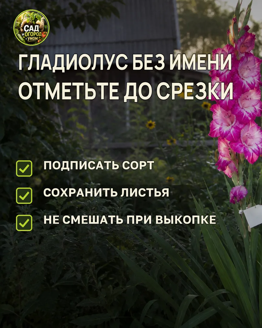 Краткая памятка к статье