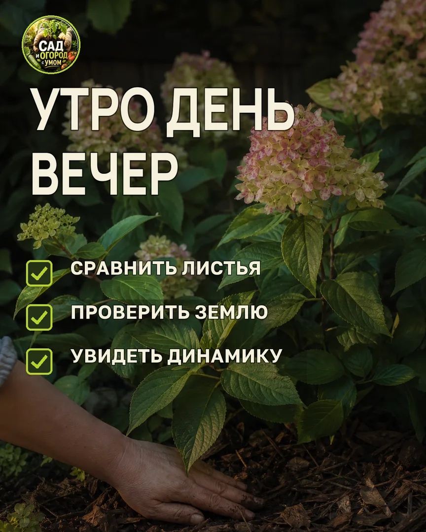 Краткая памятка к статье