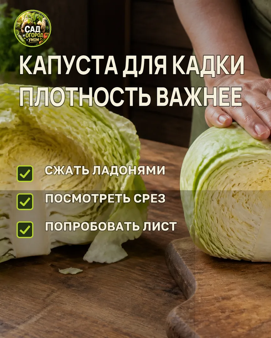 Краткая памятка к статье