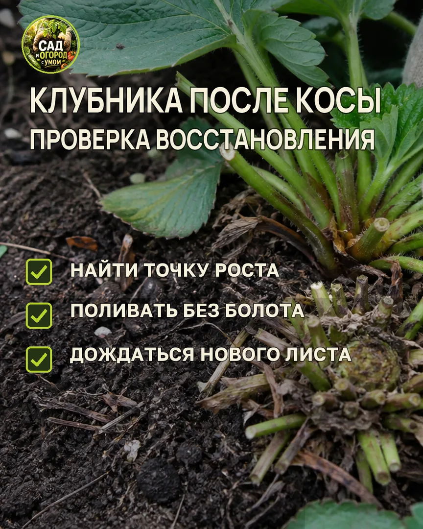 Краткая памятка к статье