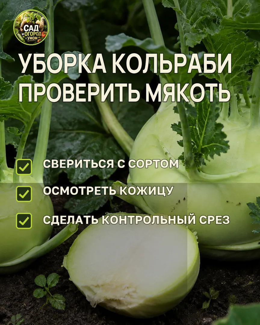 Краткая памятка к статье