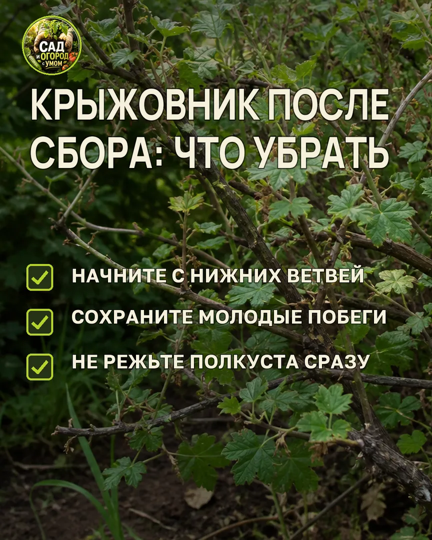 Краткая памятка к статье