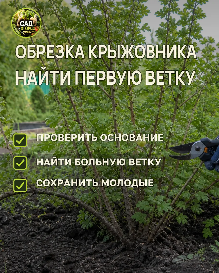 Краткая памятка к статье
