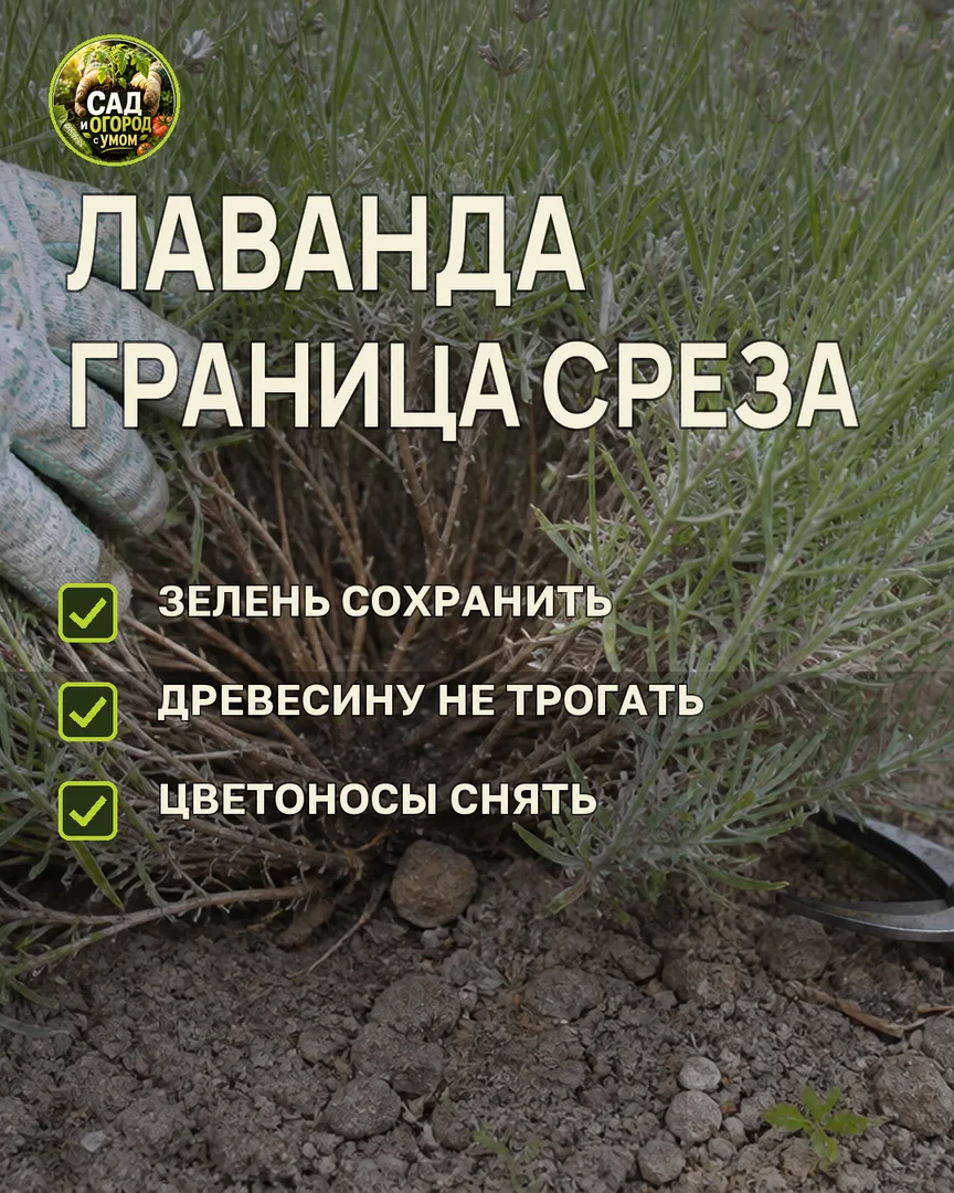 Краткая памятка к статье