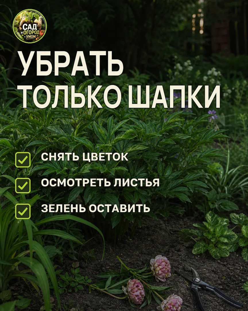Краткая памятка к статье