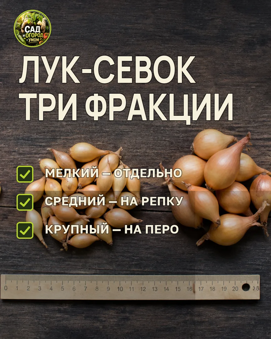 Краткая памятка к статье