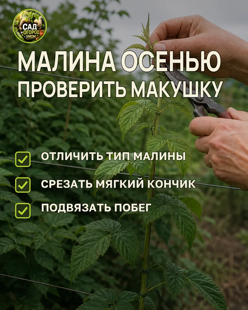 Краткая памятка к статье