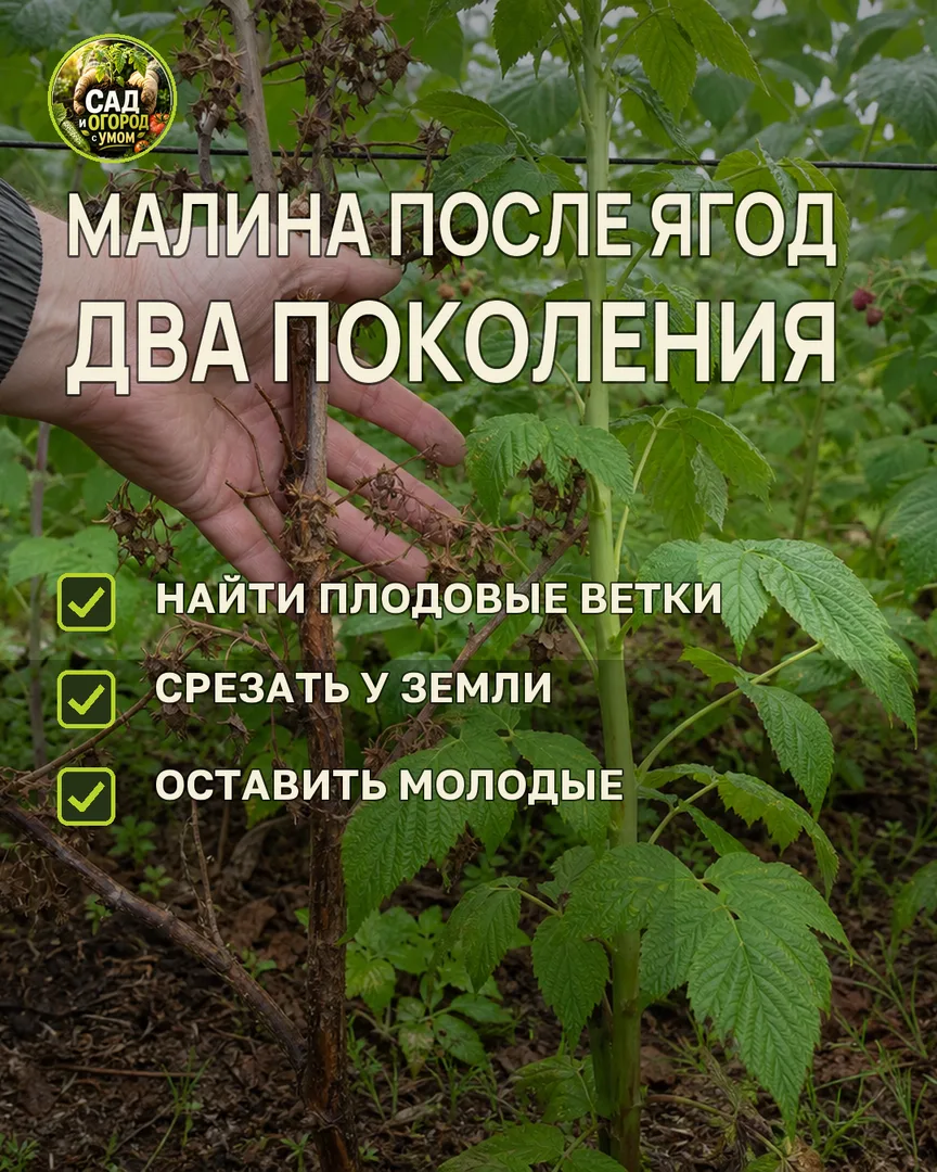 Краткая памятка к статье