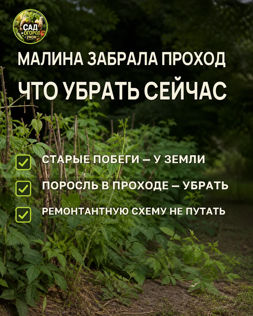 Краткая памятка к статье