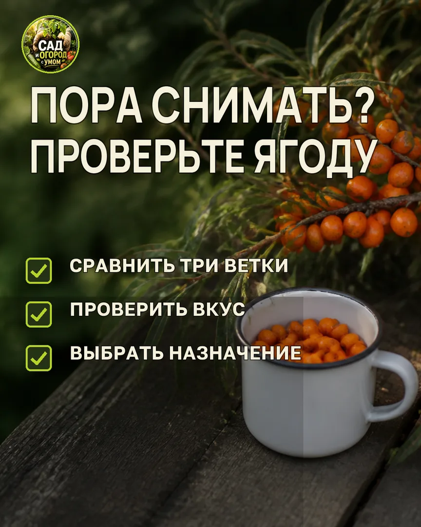 Краткая памятка к статье