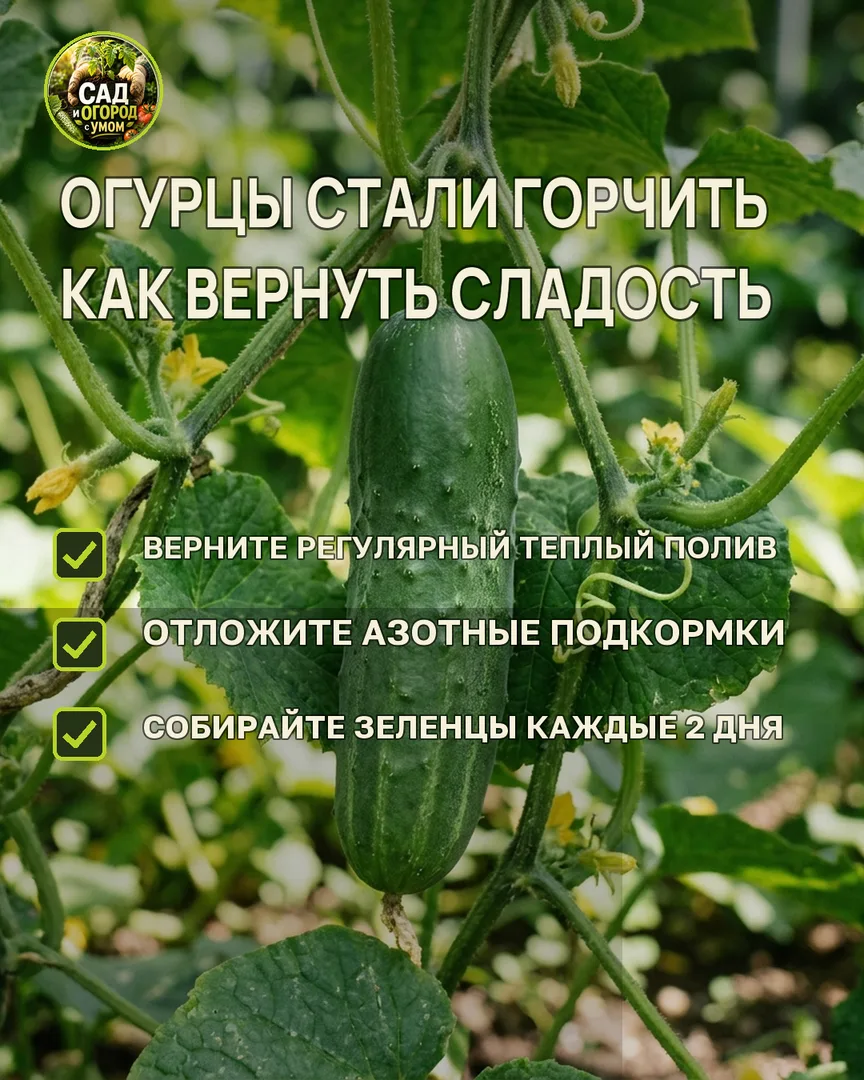 Краткая памятка к статье