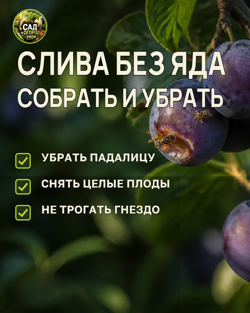 Краткая памятка к статье