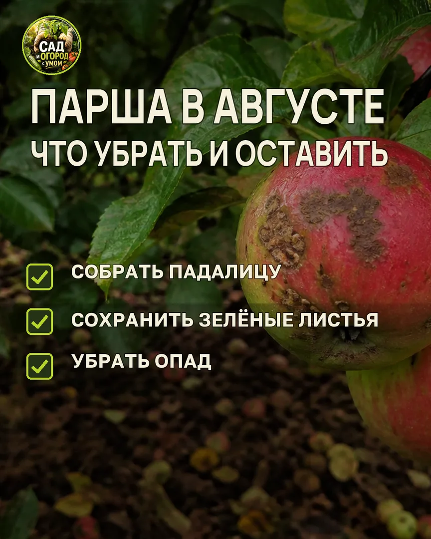 Краткая памятка к статье