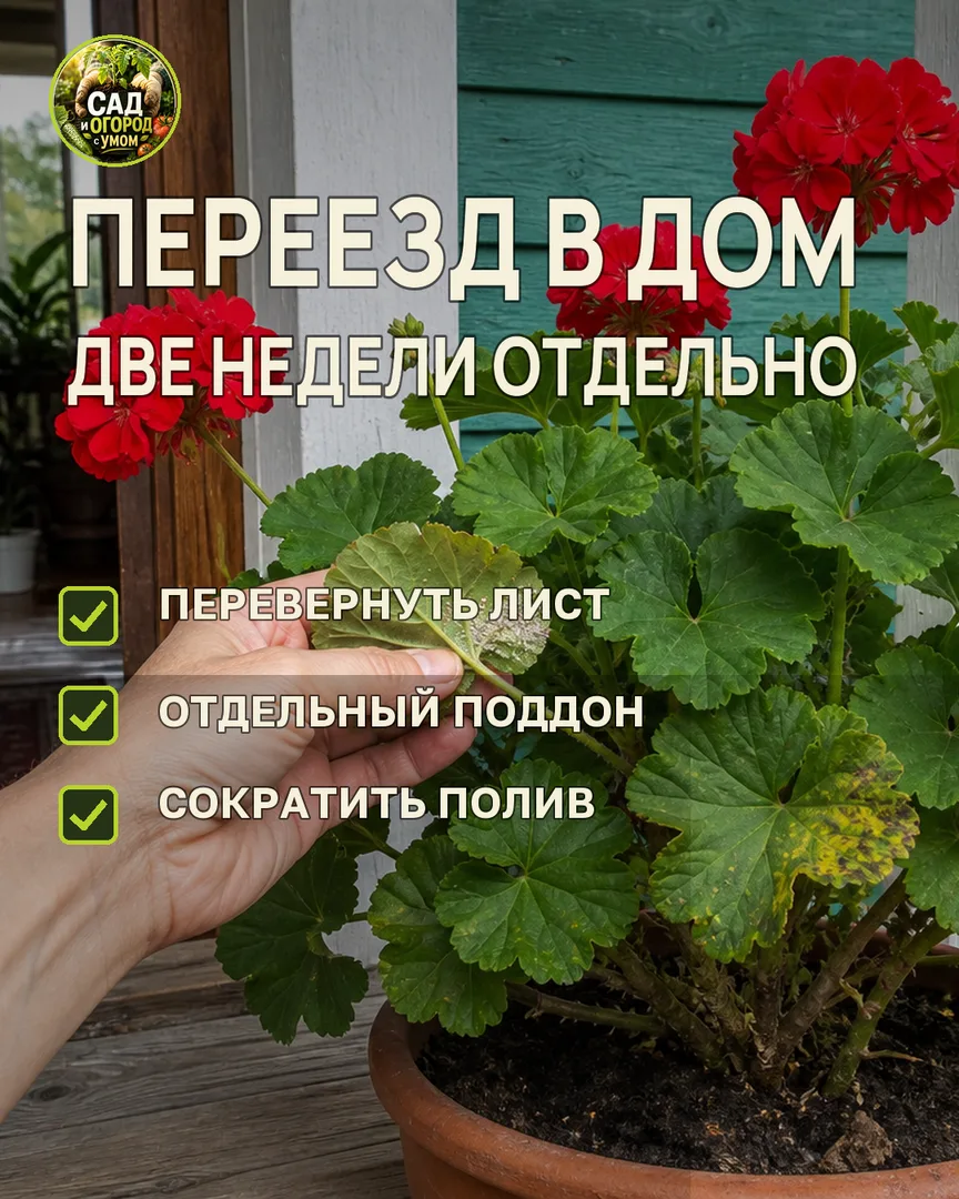 Краткая памятка к статье