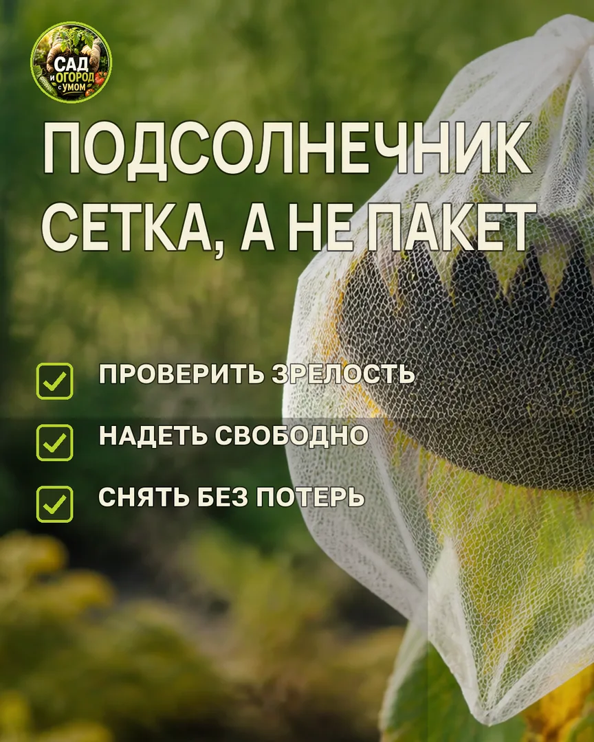 Краткая памятка к статье