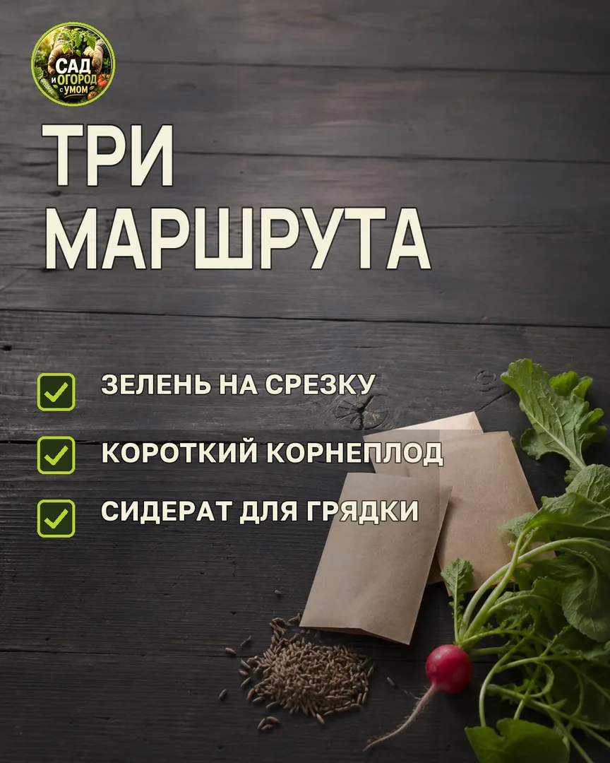 Краткая памятка к статье