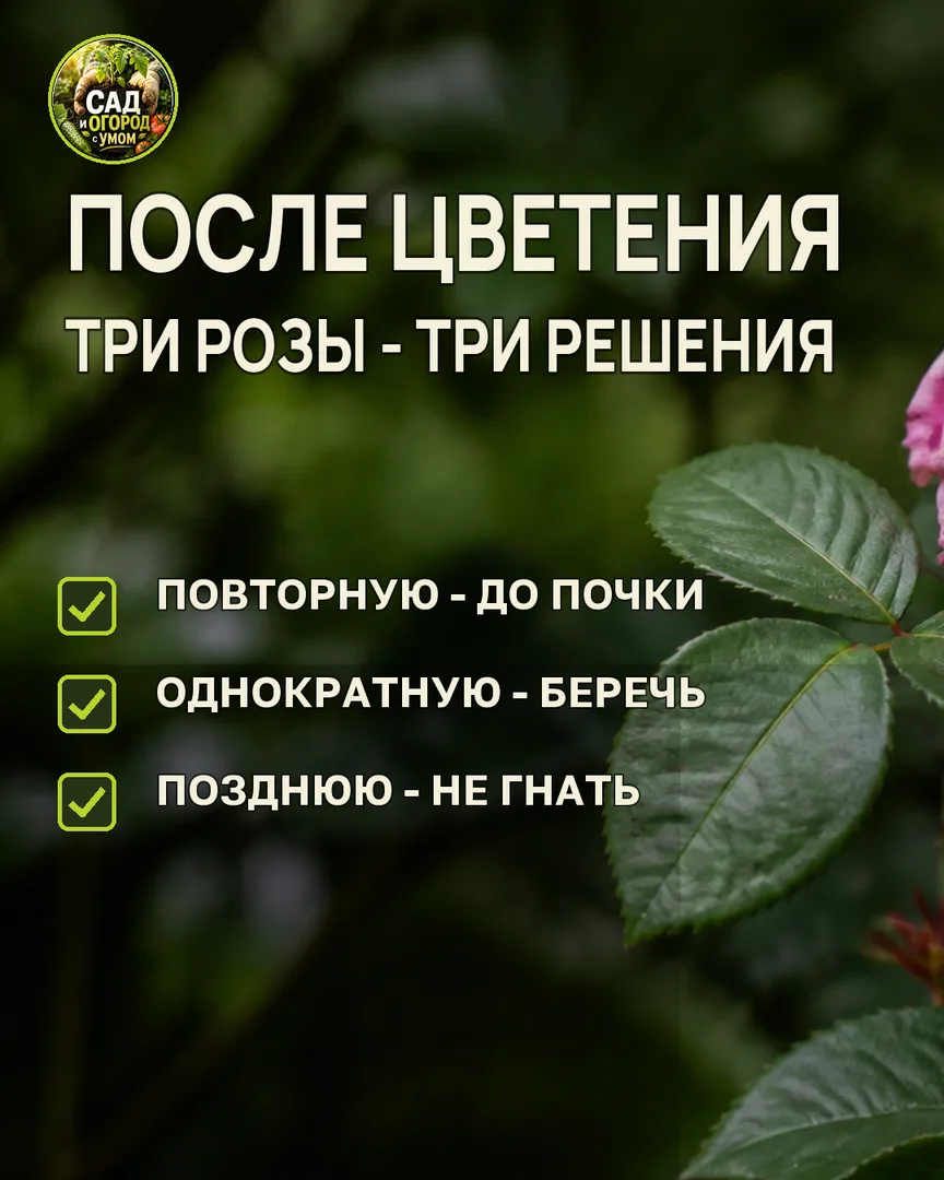 Краткая памятка к статье