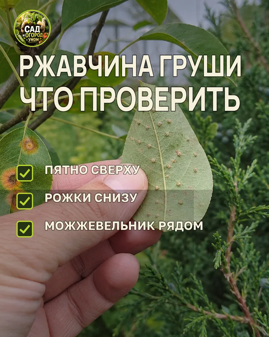 Краткая памятка к статье