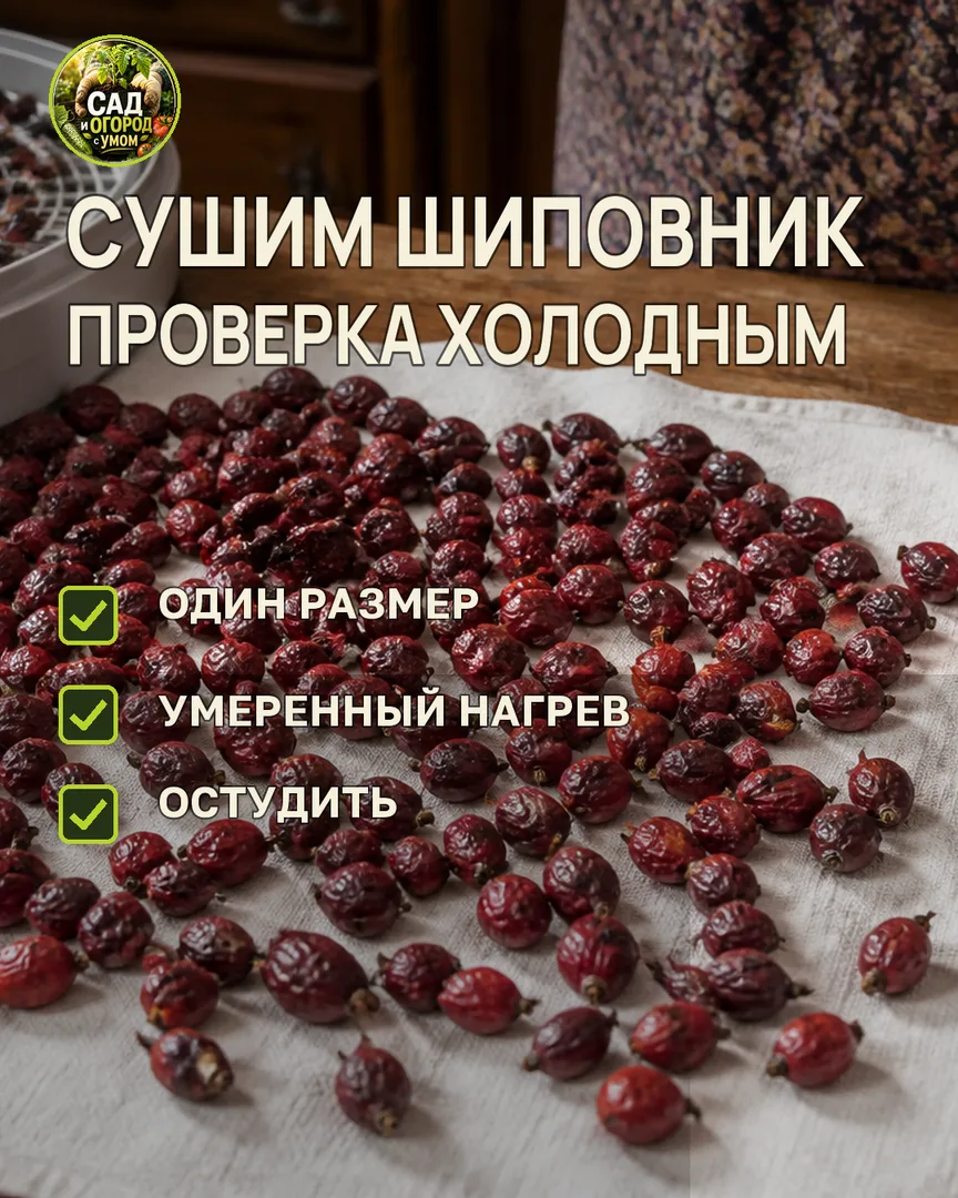 Краткая памятка к статье