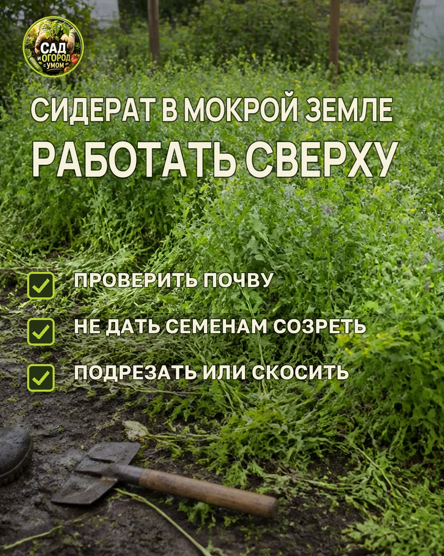 Краткая памятка к статье