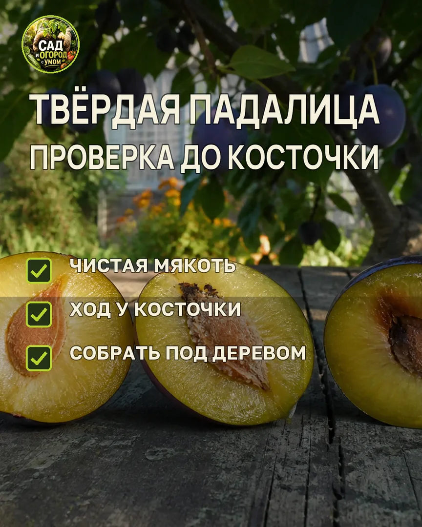 Краткая памятка к статье