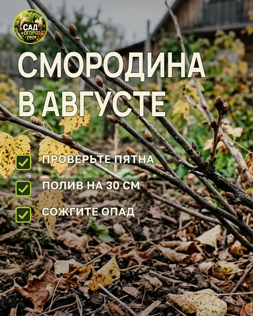 Краткая памятка к статье