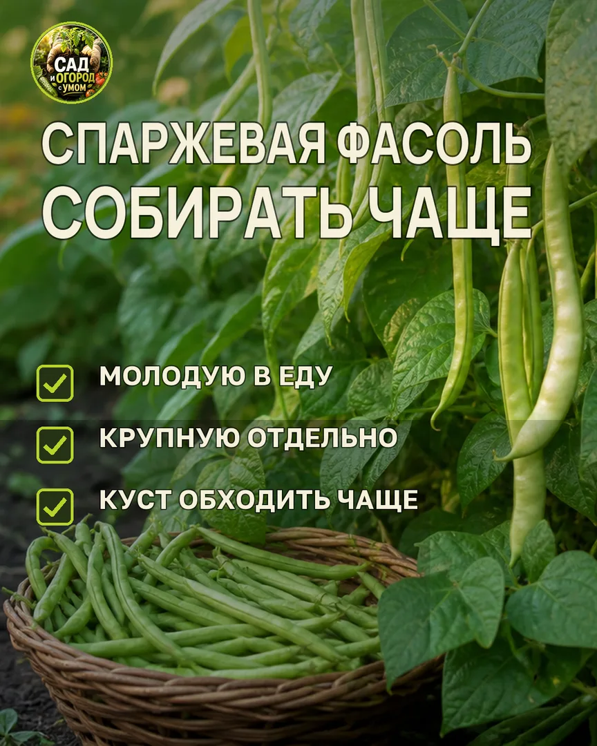 Краткая памятка к статье