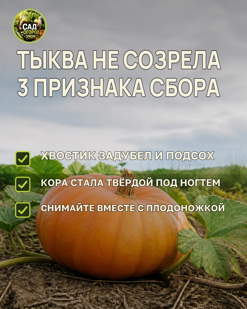 Краткая памятка к статье