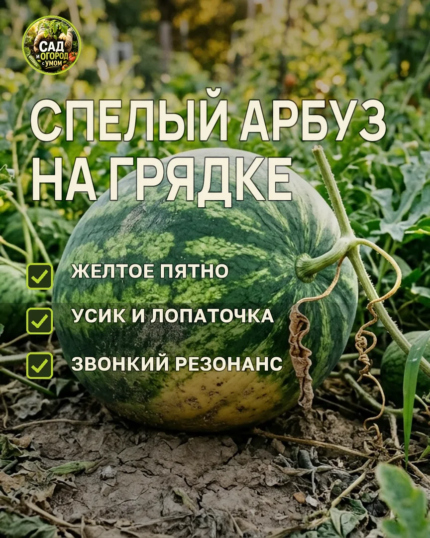 Краткая памятка к статье