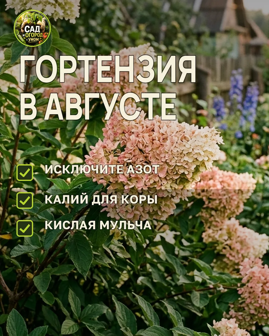 Краткая памятка к статье