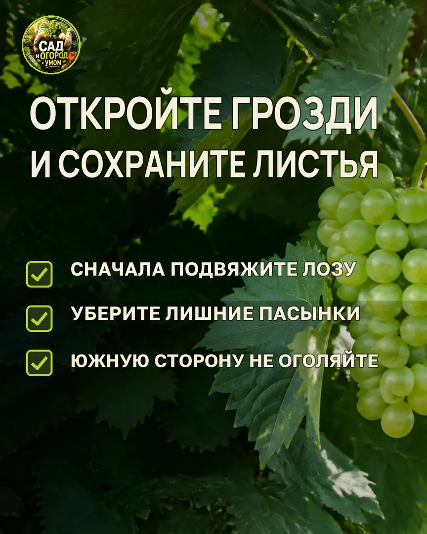 Краткая памятка к статье