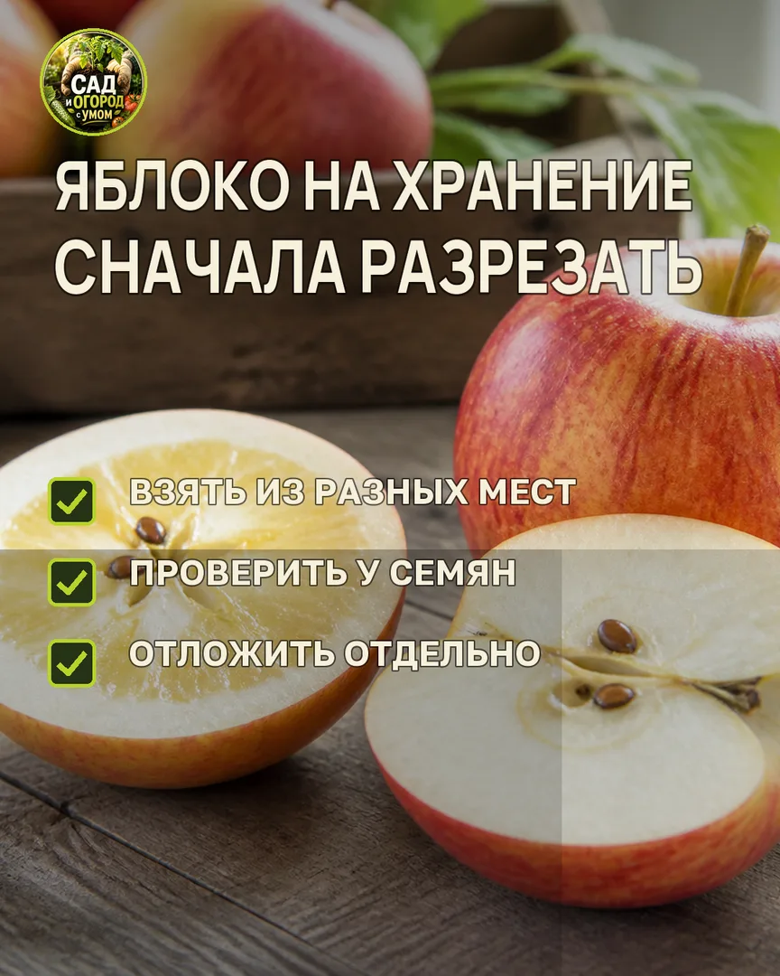 Краткая памятка к статье