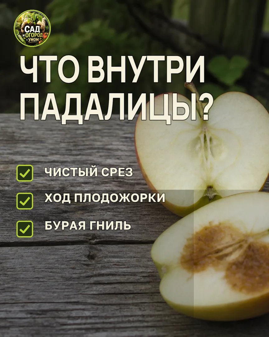 Краткая памятка к статье