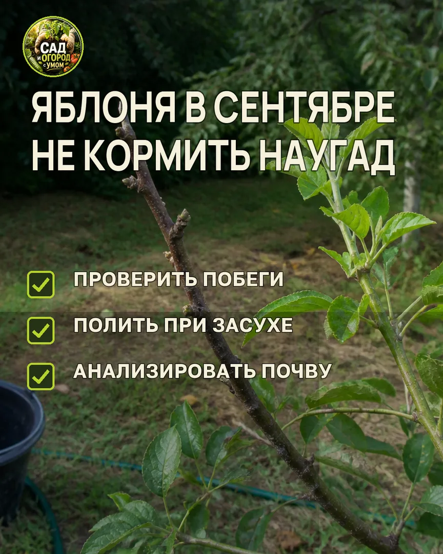 Краткая памятка к статье