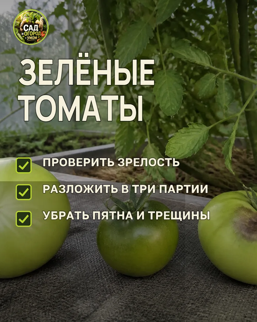 Краткая памятка к статье