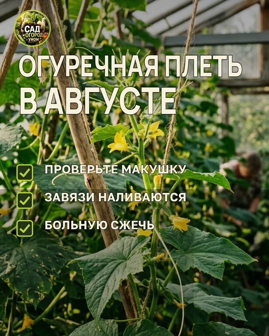 Краткая памятка к статье